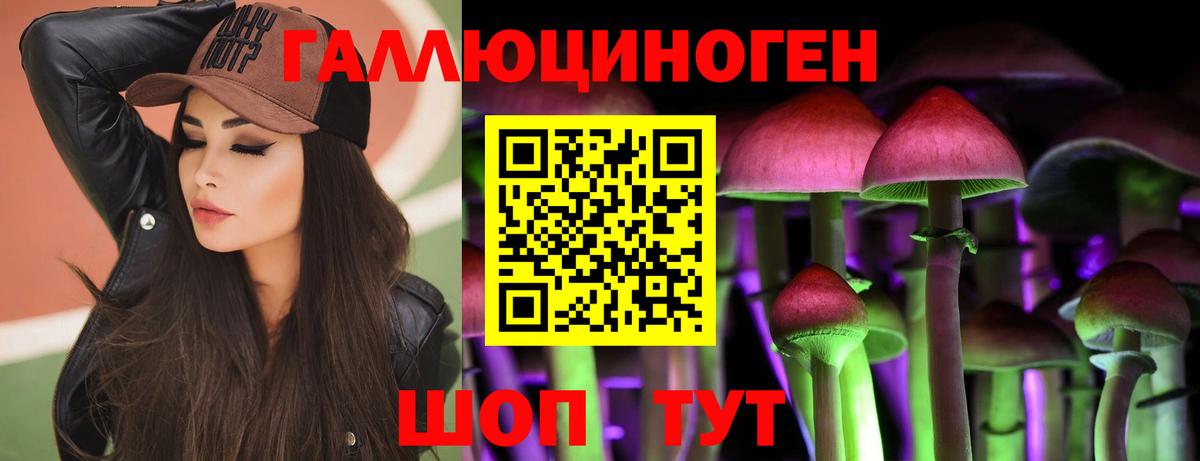 Псилоцибиновые грибы Cubensis Избербаш